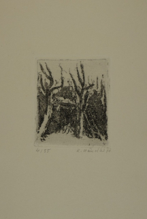 Bl.7 o.T. Landschaft (Händler Rolf)